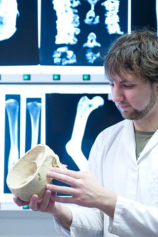 Student holding the lower half of a human skull