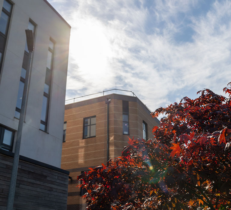 Maple tree behind Bright building in autumn.