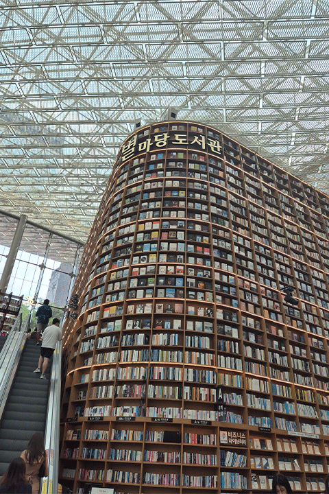 A large Library with an escalator.