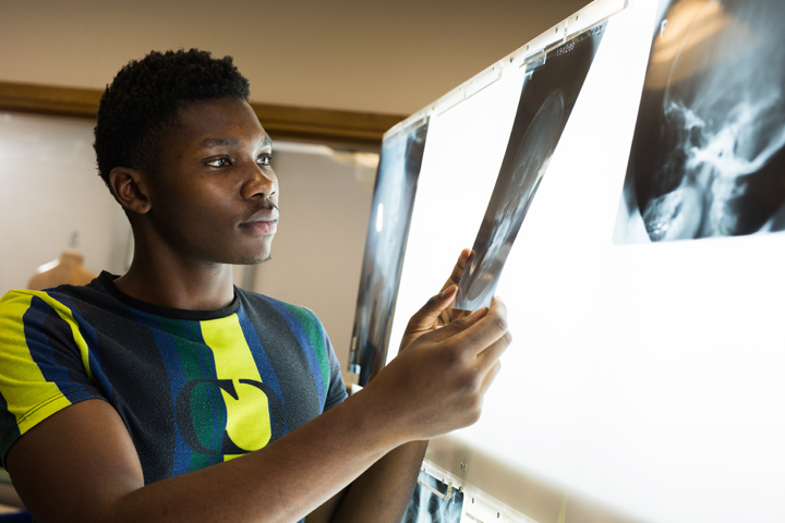 A radiography student looking at x-ray scans