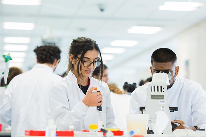 Students working in a lab