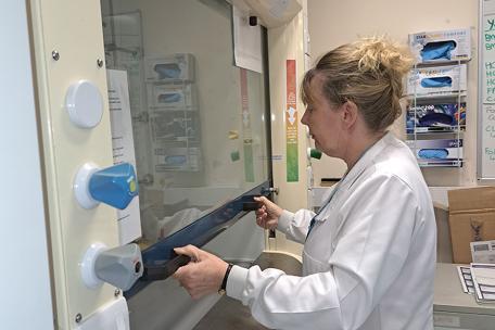 Laboratory staff closing the sash of fume cupboard