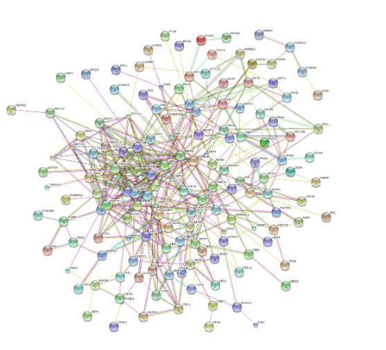 Bioinformatics image (proteomics)