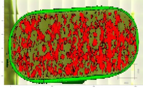 Raman mapping image