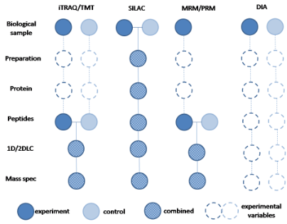 Schematics for proteomics quantitation