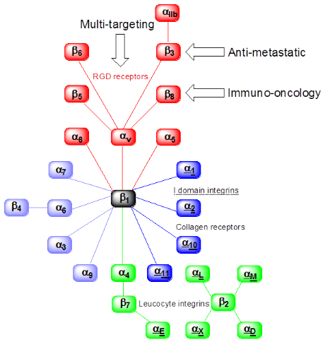 Integrin image