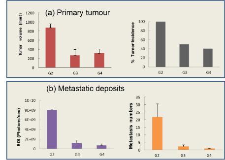 Results from experimental data