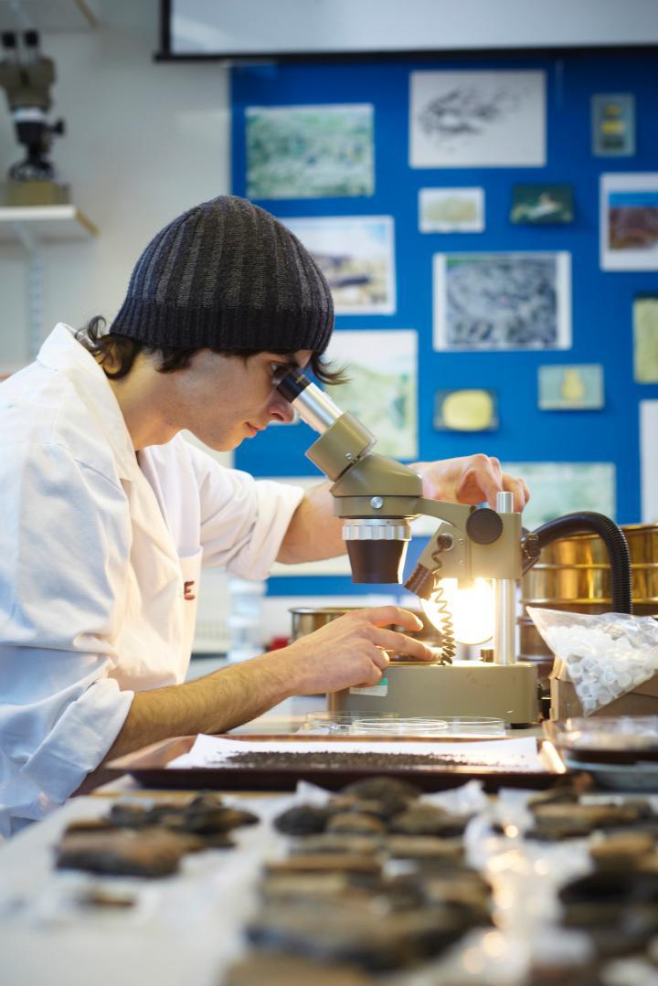 archaeologist using a microscope to examine remains