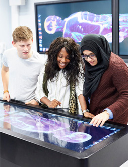 Group of students working within the Autopsy and Anatomy Labs