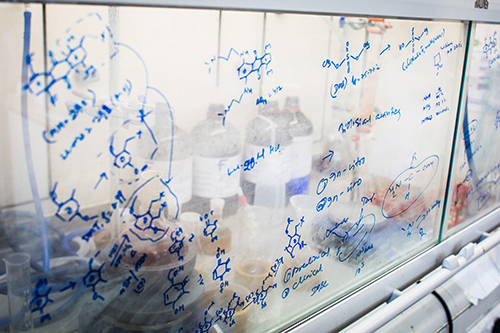 Scientific calculations drawn on a window