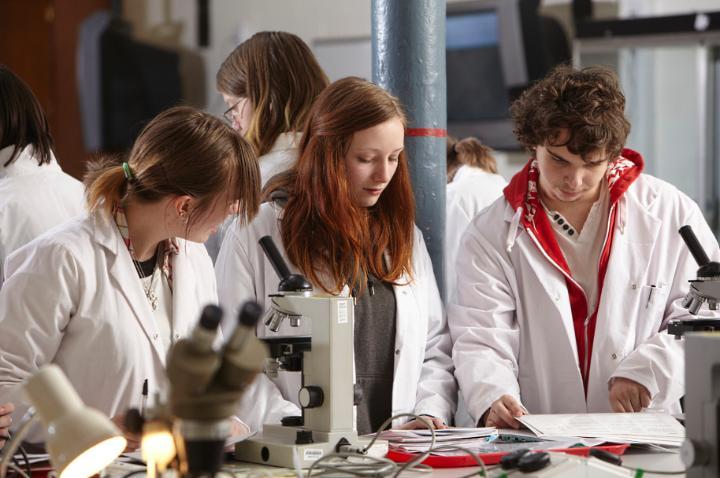 3 archaeology students in a busy laboratory discussing a paper they are working from