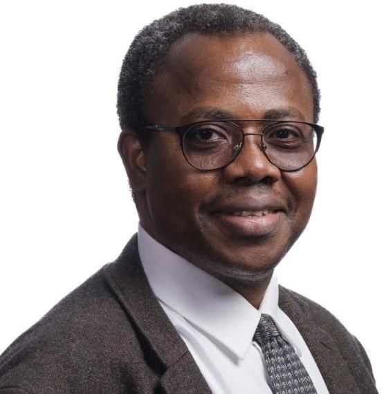 Prof Emmanuel Idowu