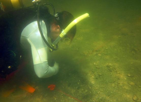 Dr Jessica Cook Hale diving