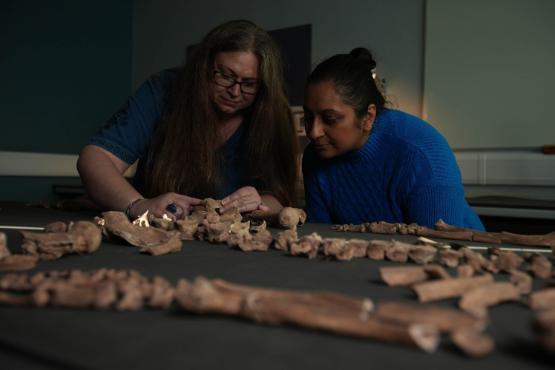 Two people examine a skeleton in a lab