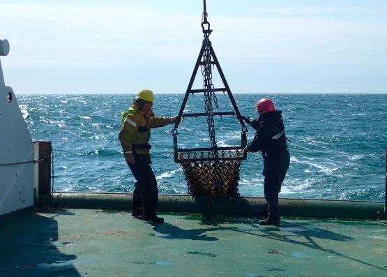 Two men on a trawler