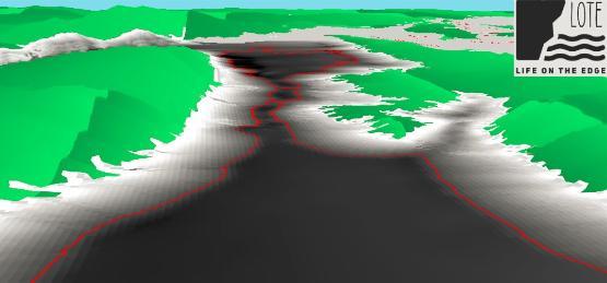 3d rendering of sea bed in Adriatic