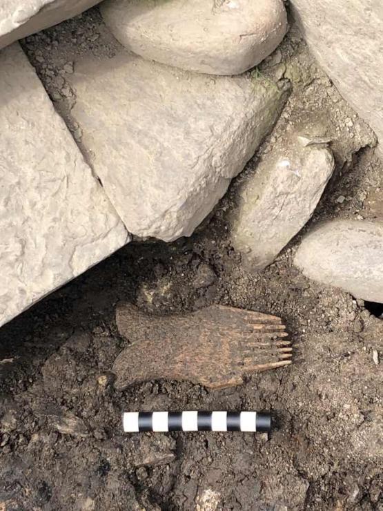 A whalebone comb on the ground covered in dirt lies next to some rocks after being discovered