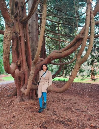 Krupa Sayania sitting on the bough of a tree