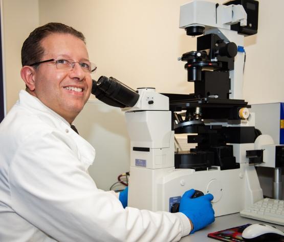 Professor Sherif El-Khamisy in the lab