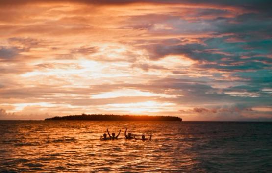 Swimmers swimming at sunset in the sea