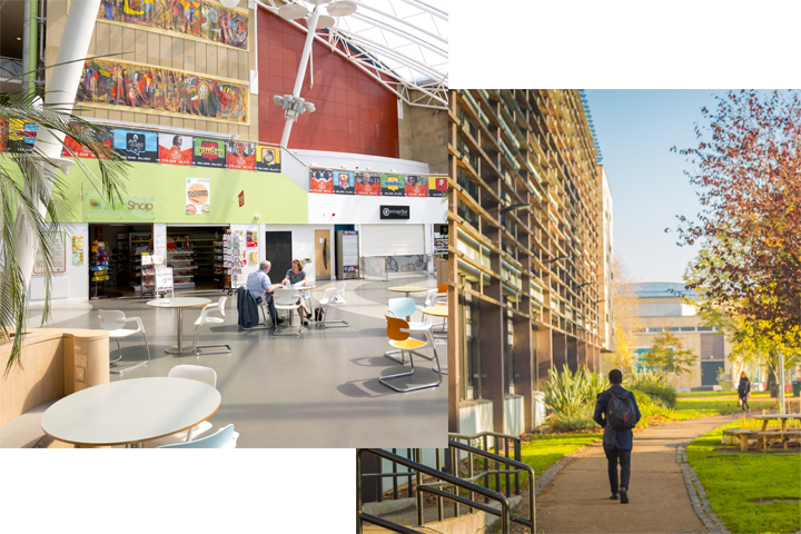 An image of the inside of the Atrium and the Peace Garden