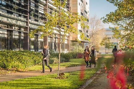 The Peace Garden on campus in autumn, with some students walking on the path.